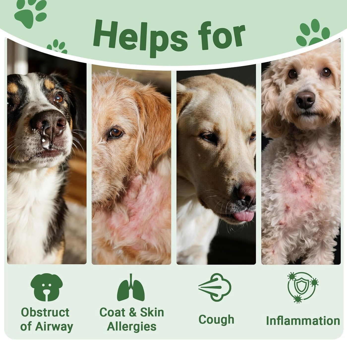 VUN KENNEL COUGH-Multi-Symptom Relief for Dog & Cat Coughs
