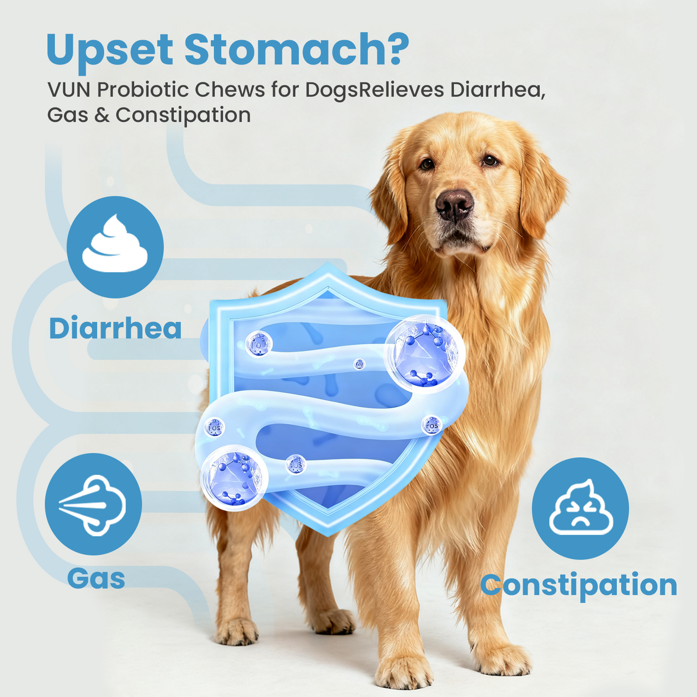 VUN Probiotics for Dogs – Soft Chews with Prebiotics for Digestive & Gut Health