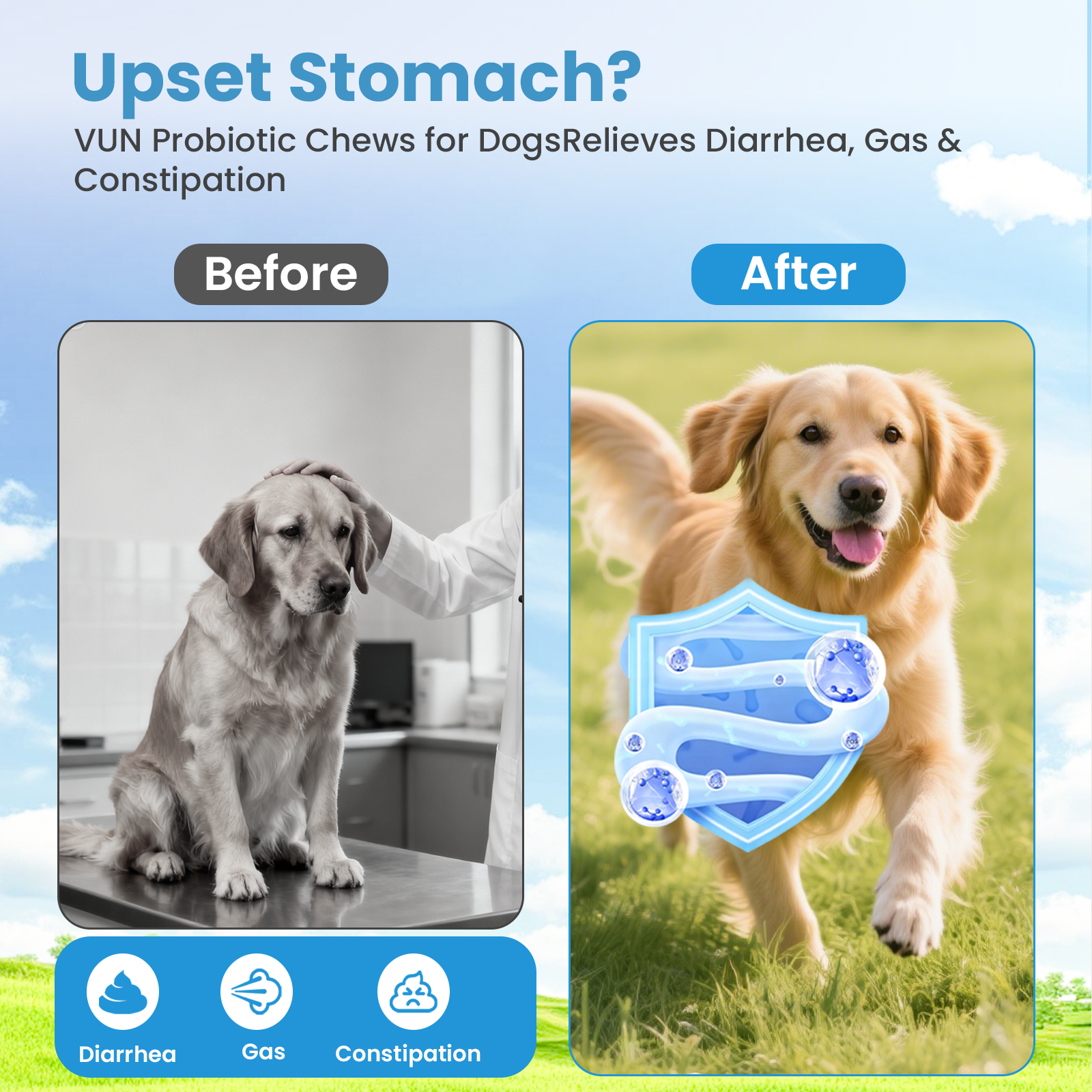 VUN Probiotics for Dogs – Soft Chews with Prebiotics for Digestive & Gut Health