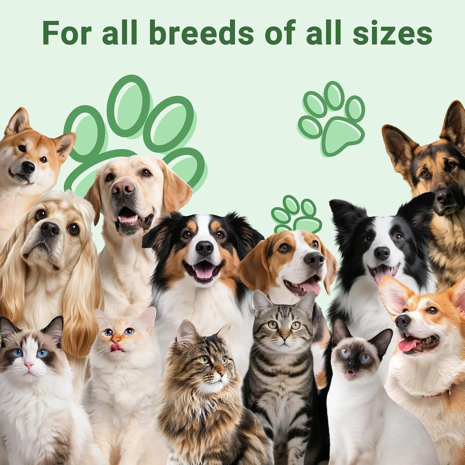 VUN Kennel Cough Relief for Dogs & Cats – Supports Cough, Throat & Respiratory Health