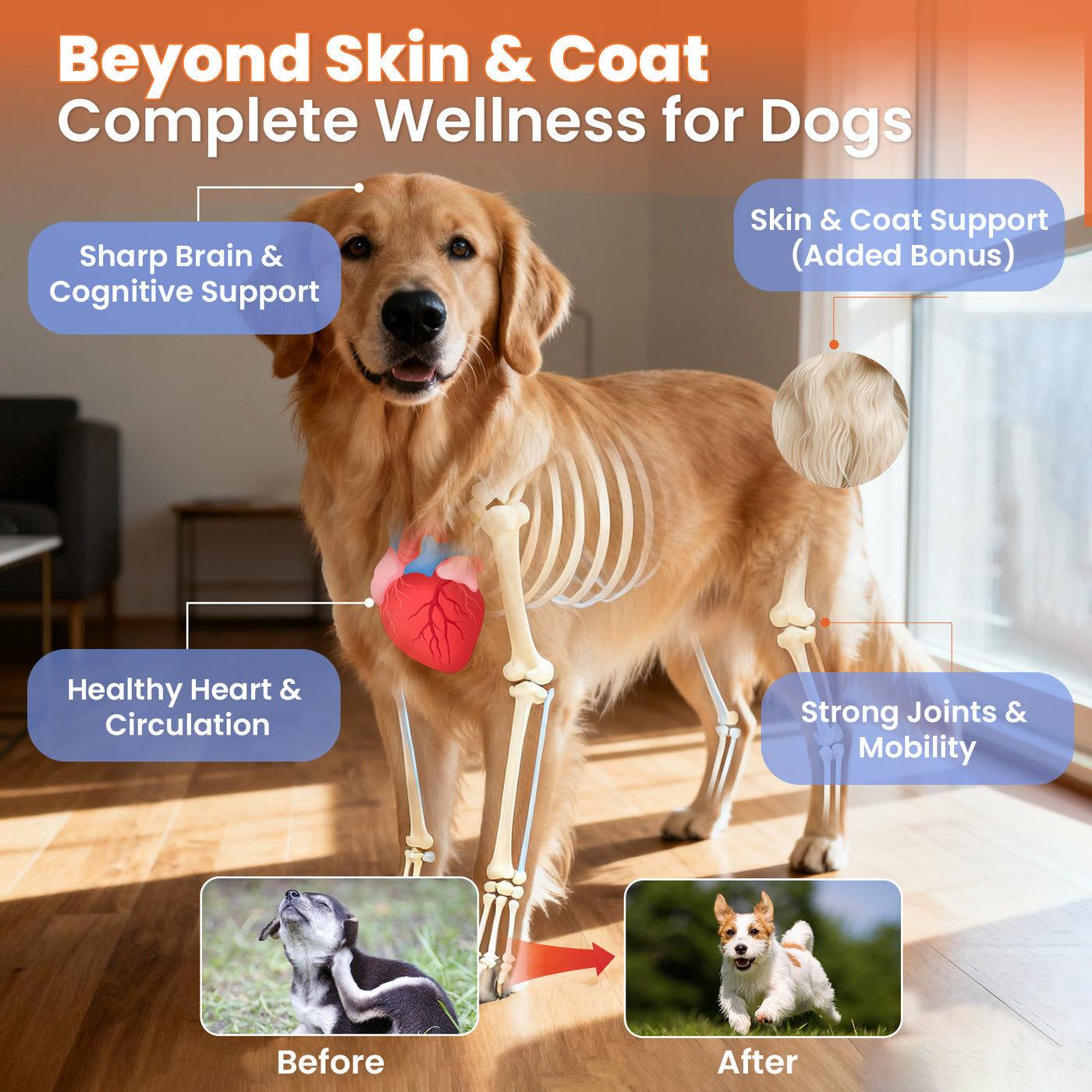 VUN Salmon Oil Chews for Dogs – Omega 3 & 6 Fish Oil Supplement for Skin, Coat & Itch Relief