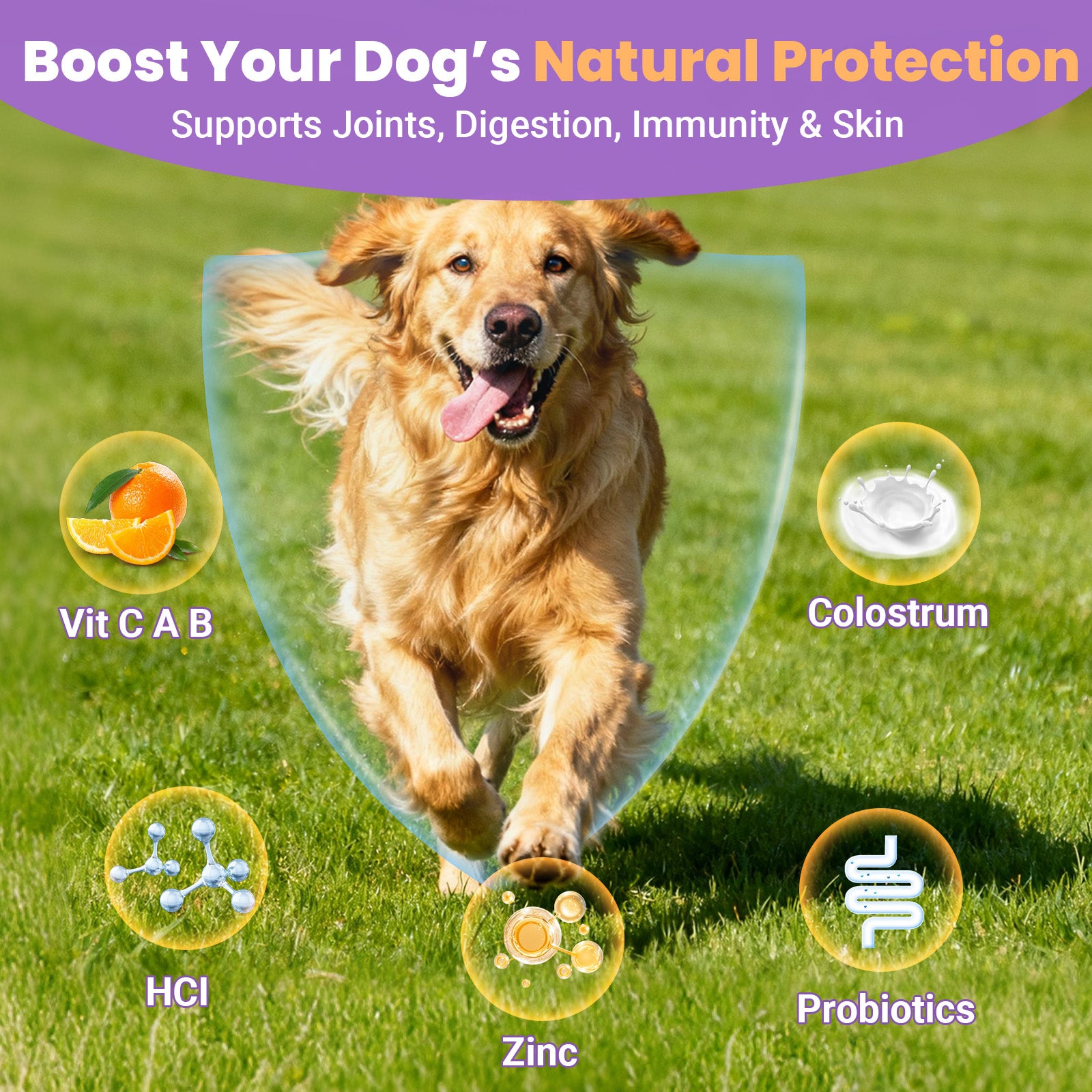 Support your dog’s health from nose to tail with VUN 25-in-1 Chewable Multivitamin.