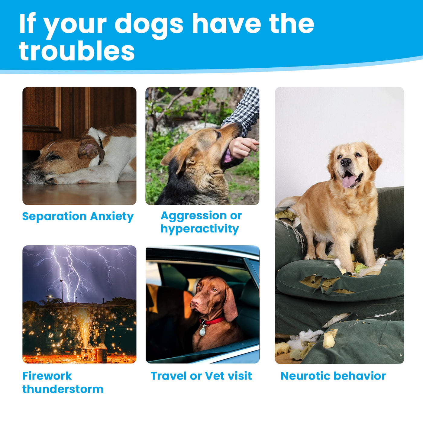 VUN Dog Calming Chews – Natural Anxiety and Stress Relief with Melatonin and Chamomile – 100 Soft Chews