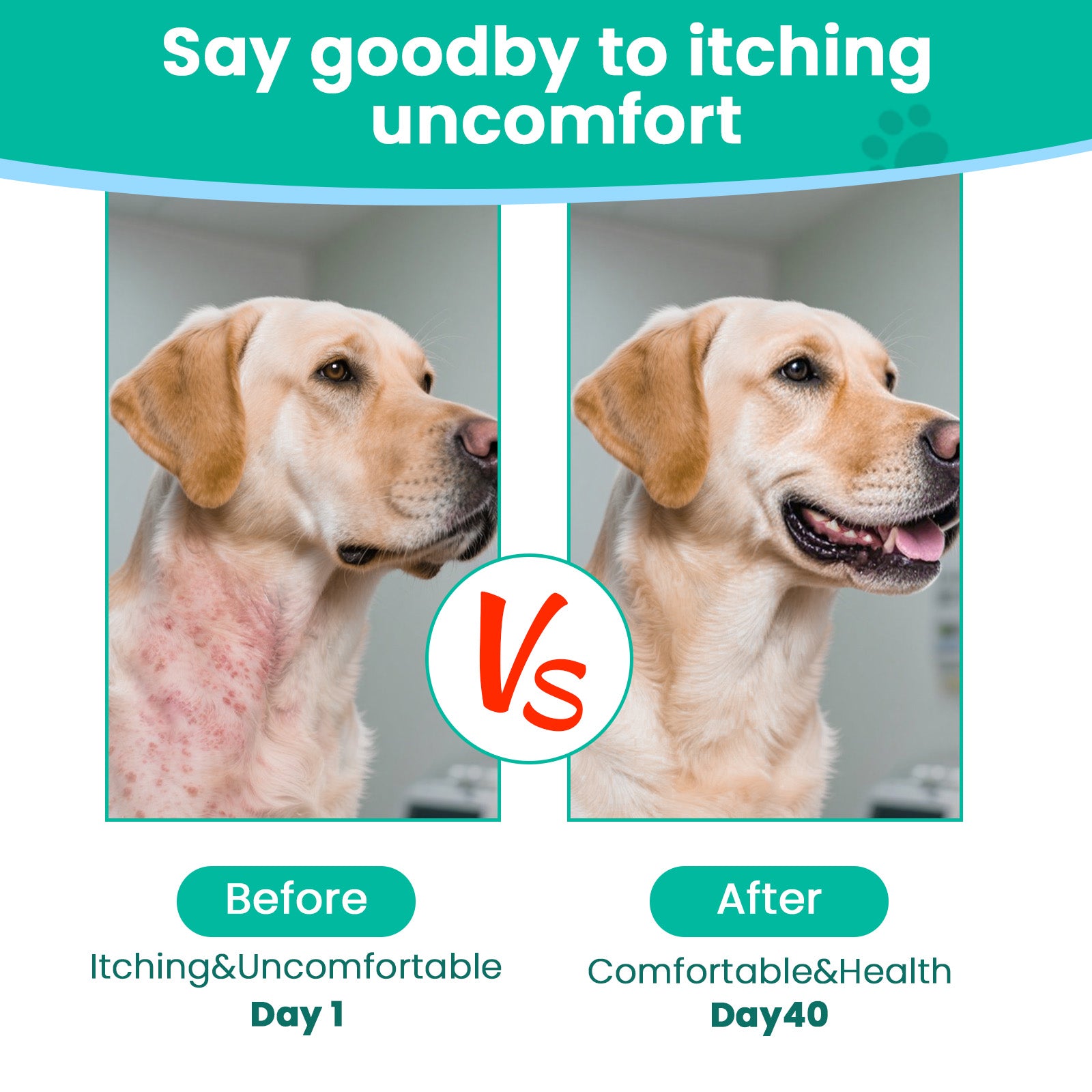 VUN Dog Allergy Relief – With Omega 3 and Probiotics for Itchy Skin and Immune Health