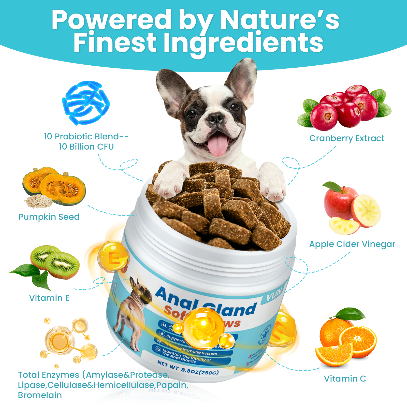 VUN Dog Anal Gland Chews – Scoot Relief & Healthy Digestion Support