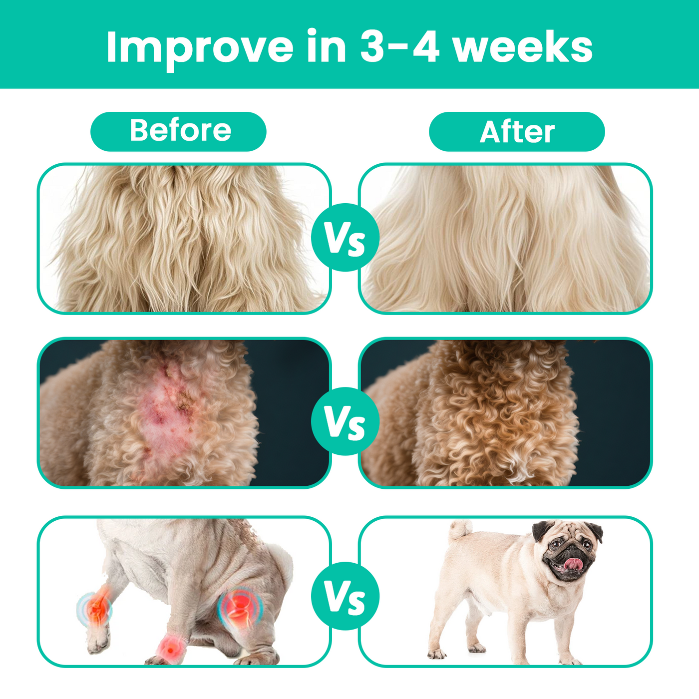 VUN Collagen Drops for Dogs & Cats – Skin, Coat & Joint Support – Bacon Flavor, 2 fl oz