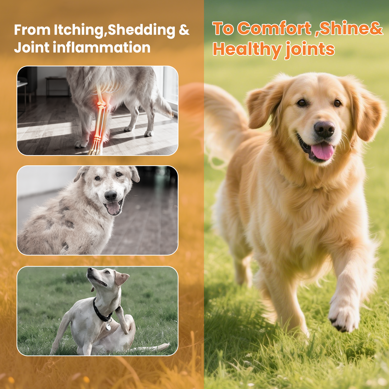 VUN Wild Salmon Oil for Dogs & Cats