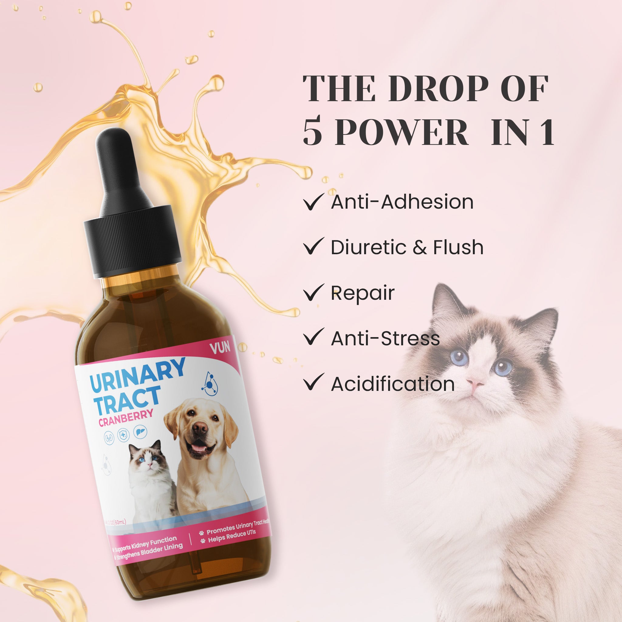Urinary support drops for bladder urinary tract and immune health