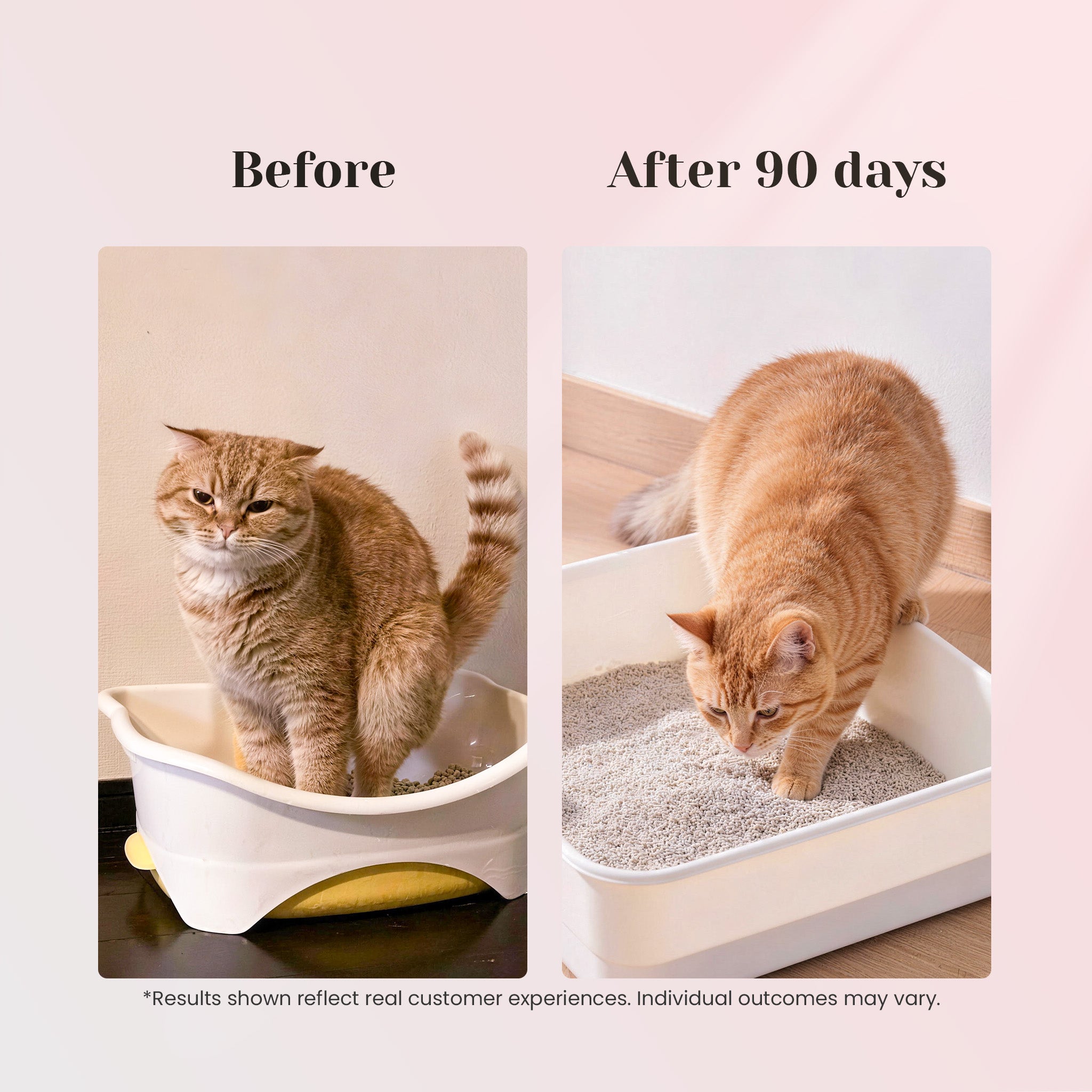 Before and after using urinary support drops for pets | VUN