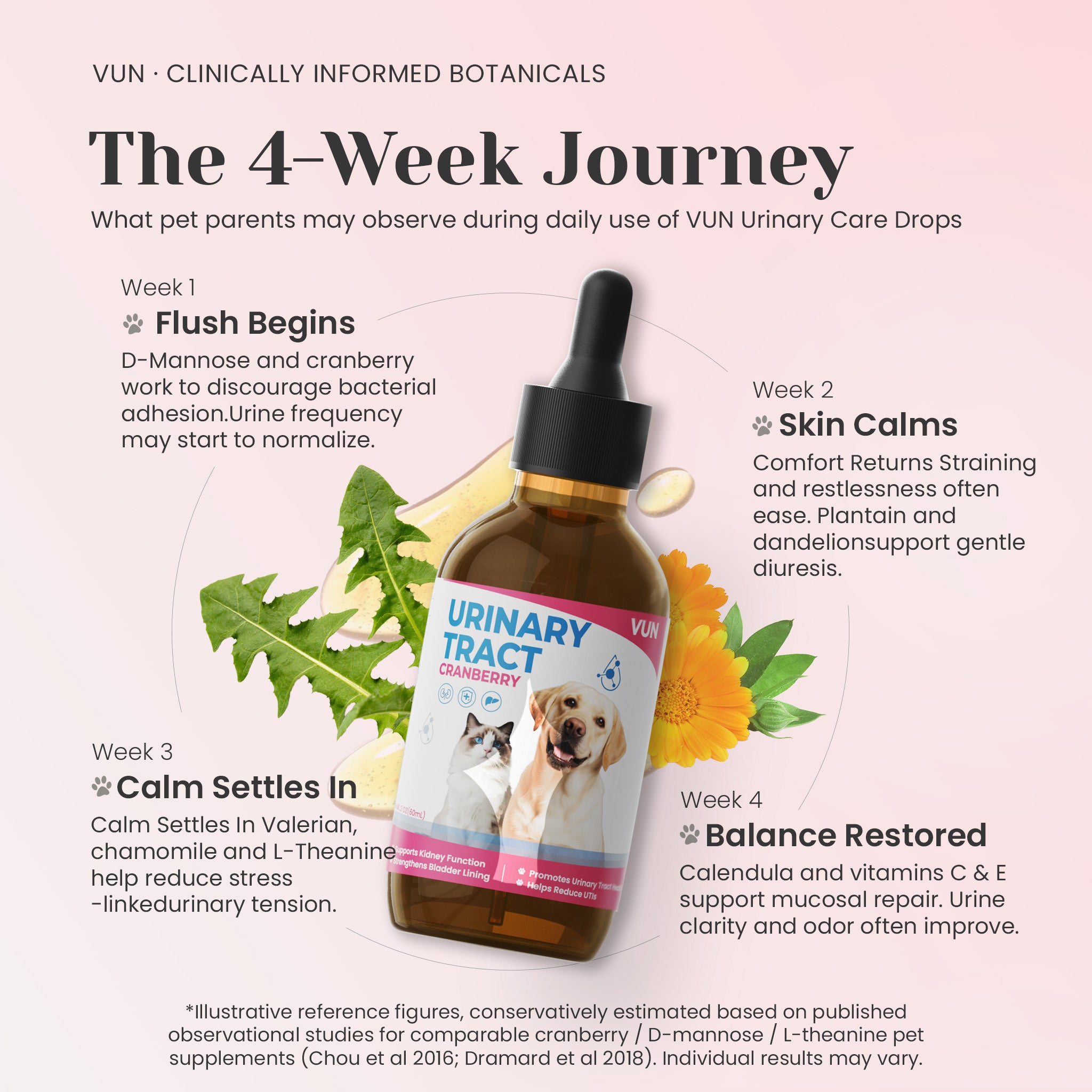 Visible urinary tract wellness support with regular use | VUN