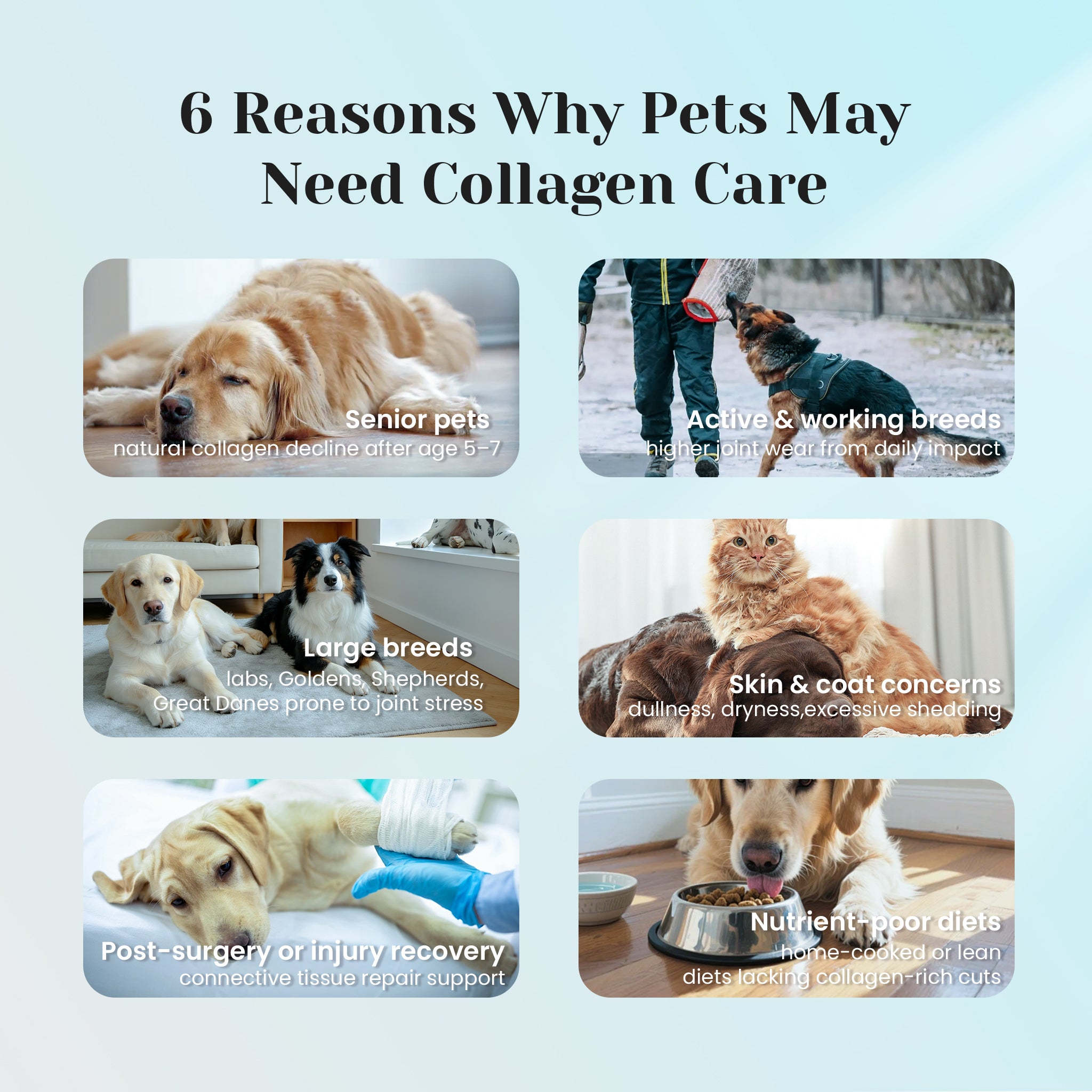Collagen support drops for dry skin shedding and joint stiffness.