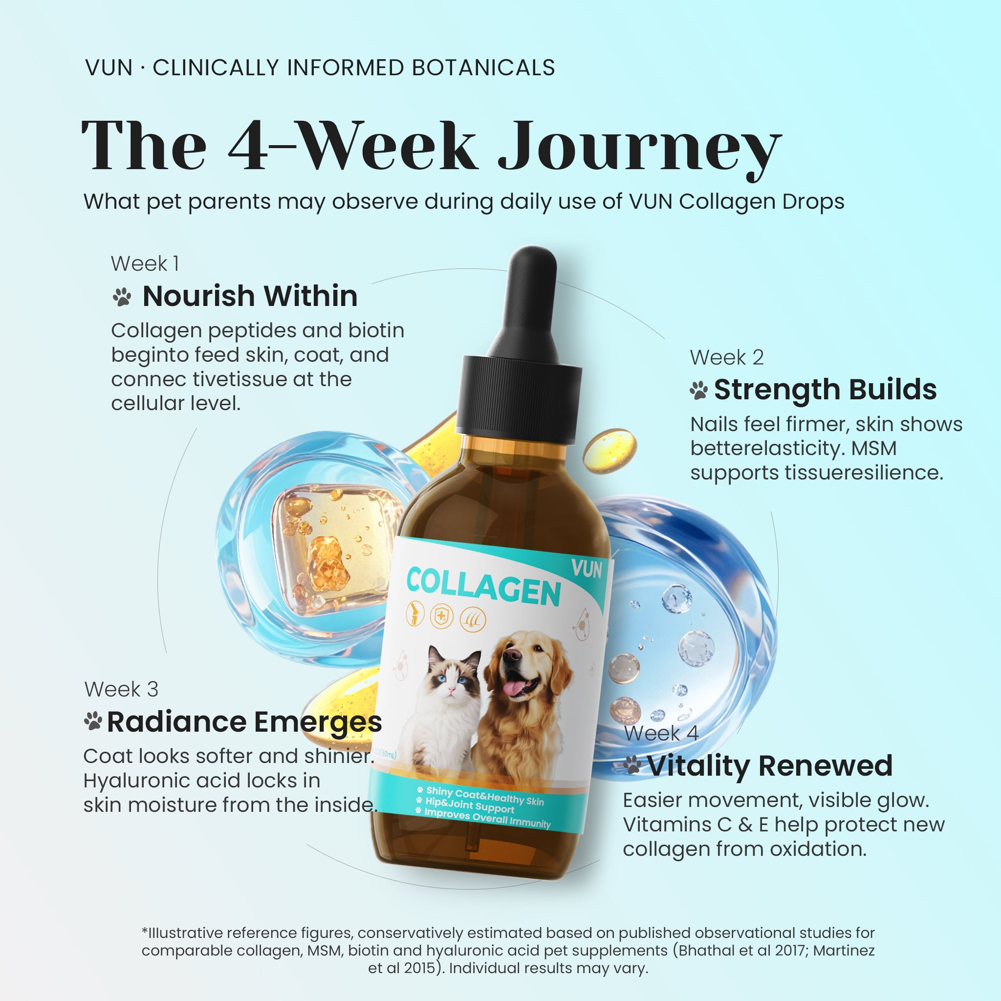 Monthly skin coat and joint wellness progress with VUN collagen support drops.
